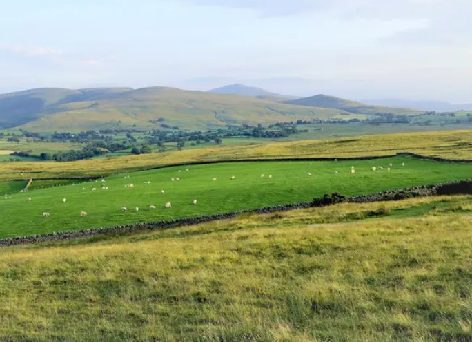 how to write a narrative essay outline how to write a narrative essay outline